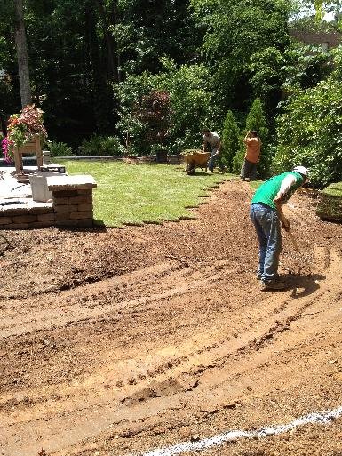 Sod Installation