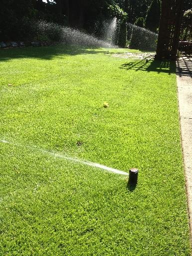 Irrigation